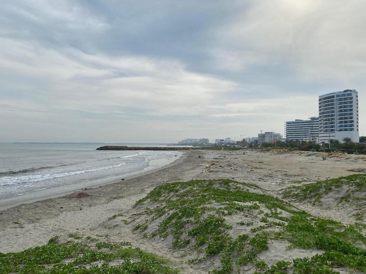 Apartamento New Apto Front & Close To Airport *
